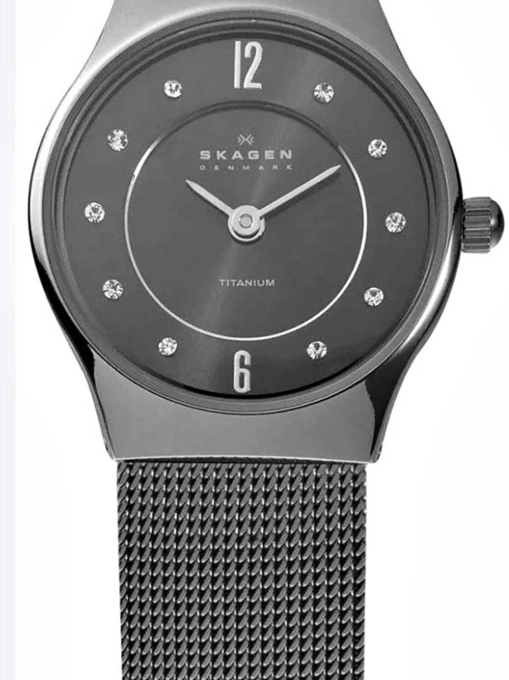 New in Box Women’s Skagen Grenen Titanium Watch Gray